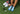 women with blue Balega socks on green grass. Golf equipment around socks.